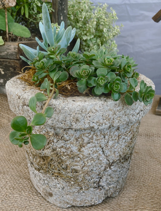 Hypertufa Workshop - 8/24