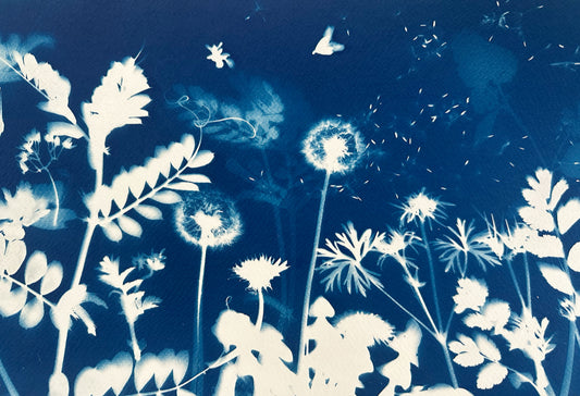 Cyanotype Workshop - 5/31